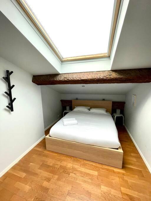 Le Charmeur - Appartement Climatise Avec 2 Chambres - Hypercentre Toulouse Exterior photo