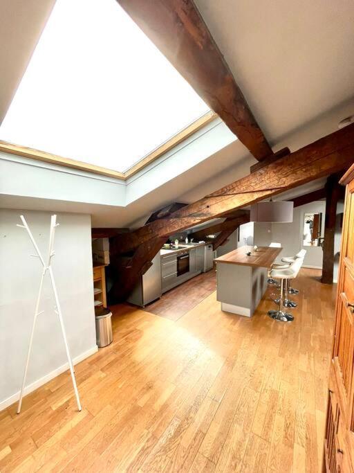 Le Charmeur - Appartement Climatise Avec 2 Chambres - Hypercentre Toulouse Exterior photo